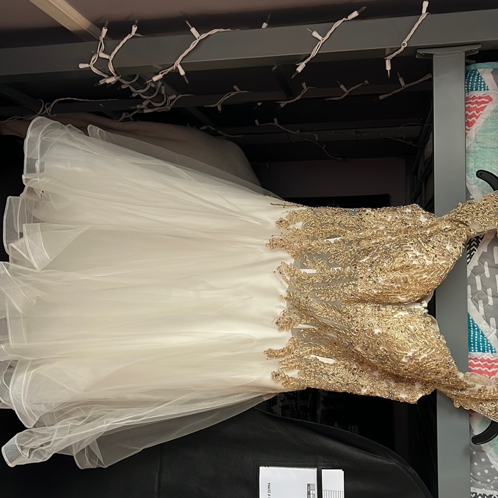 Camille La Vie Size 2 dress